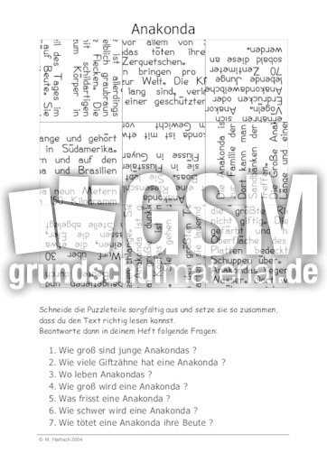 Anakonda.pdf